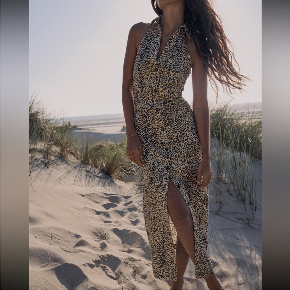 Zara leopard print dress